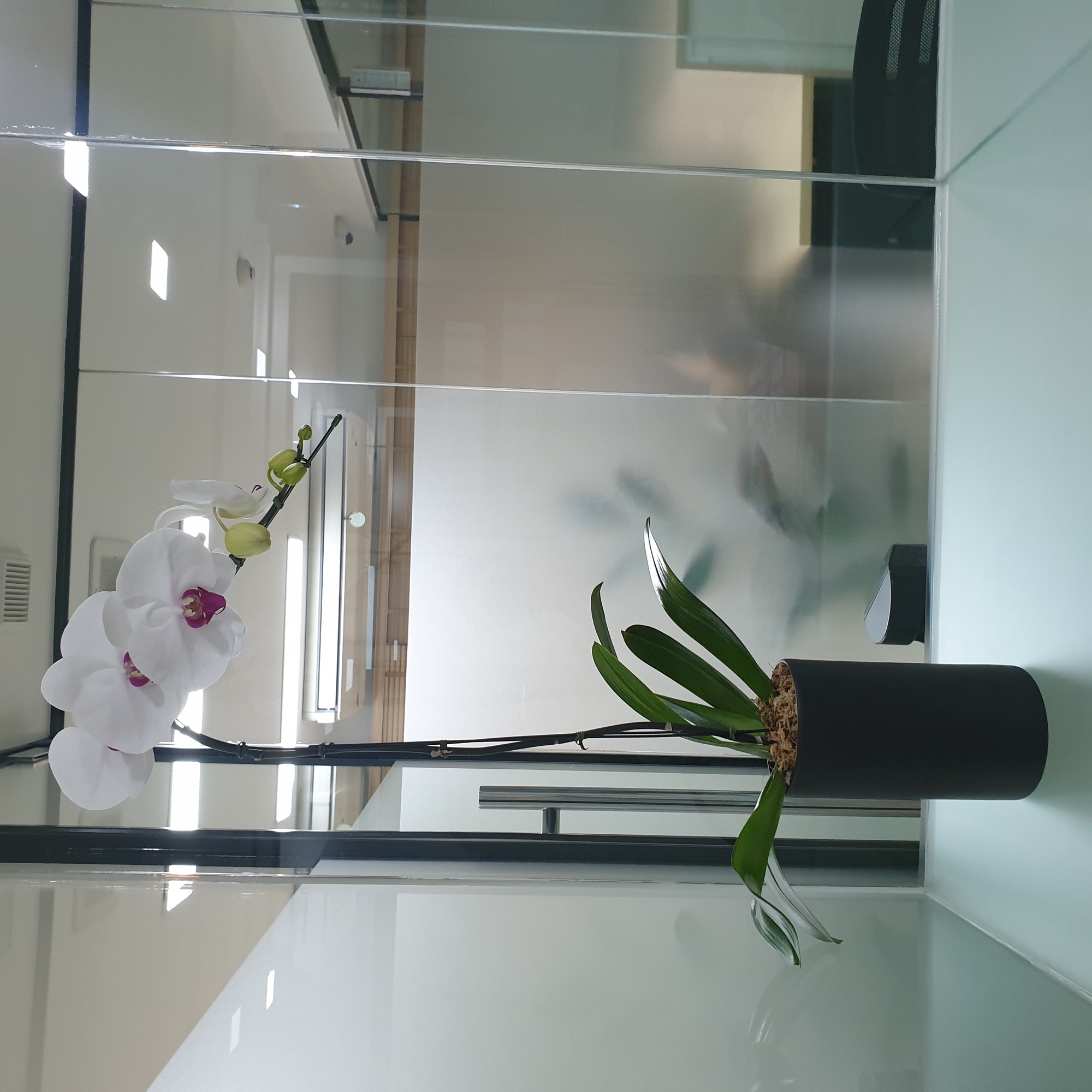 Professional Reception Desk