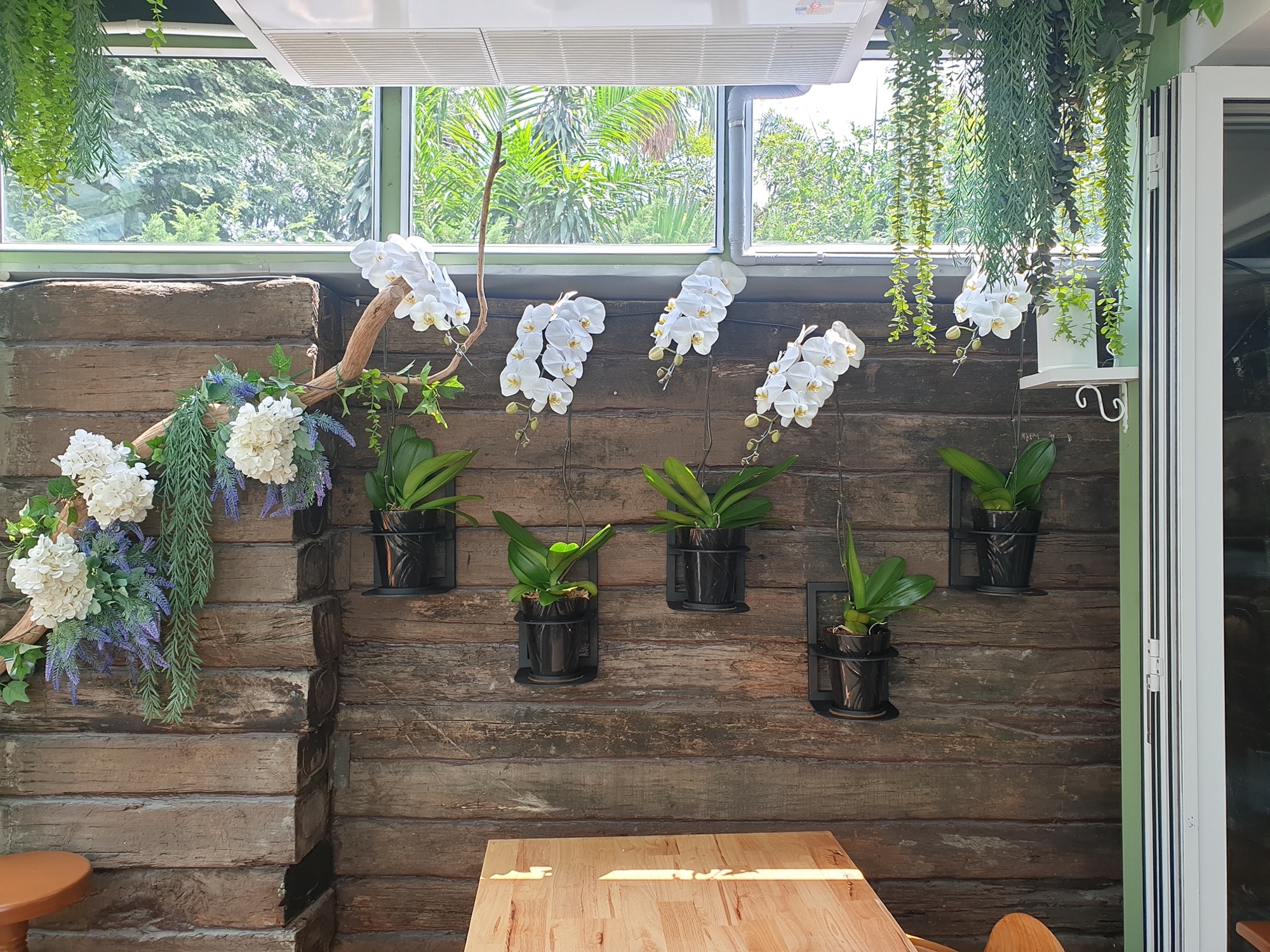 Restaurant Wall Display